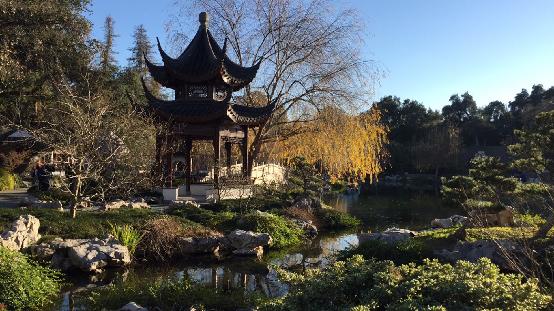 Chinese Garden at The Huntington in San Marino